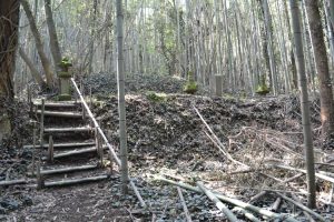 福寿寺跡と伊地知氏の石塔群-3