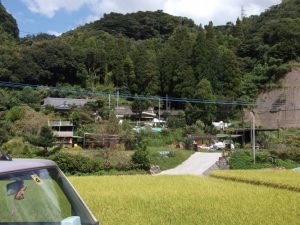 感王寺ため池辺りの里山