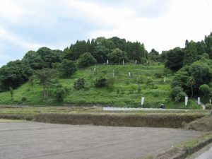 稲荷神社埋没鳥居の全容