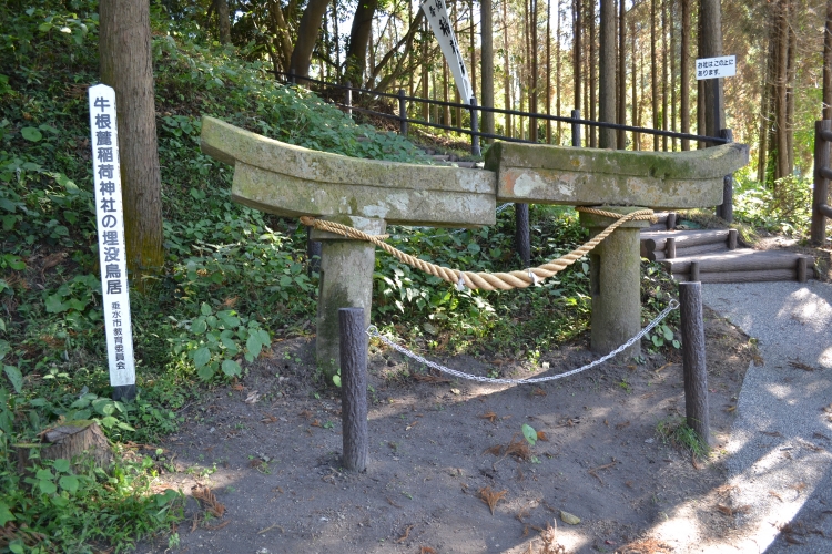 稲荷神社埋没鳥居-6