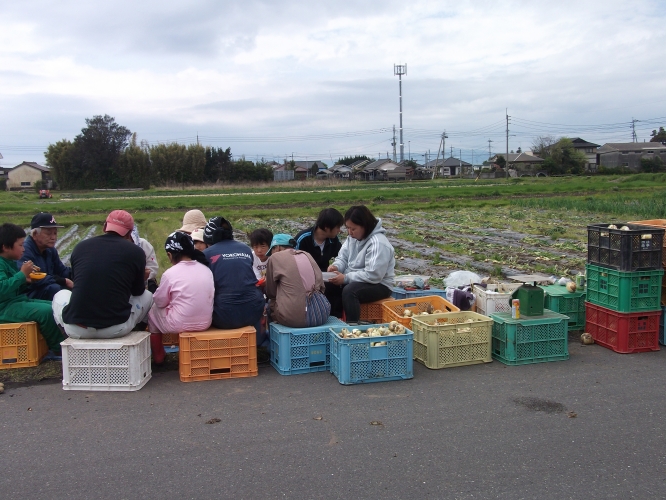 新城地区只今玉ねぎ収穫中-1