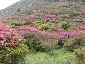 4月19日現在