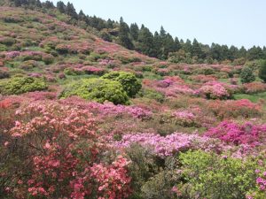 高峠つつじヶ丘公園