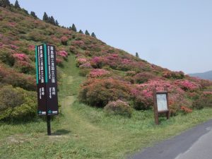 花の命は短くて・・・