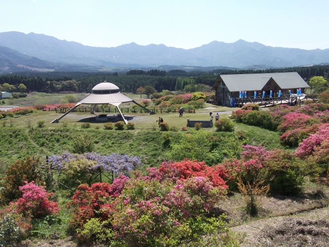 高峠つつじ4月26日正午開花状況-2