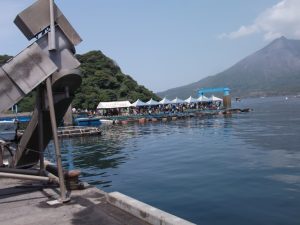 カンパチ、餌やり体験も超満員です。