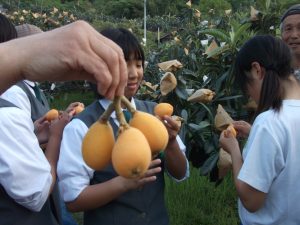 民泊受け入れ25年度第1校目（野々池中学校）-1