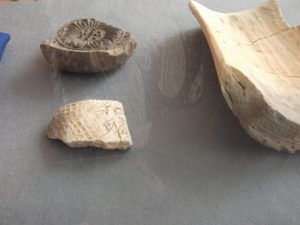 大隅国建国1300年シンポジュウムに参加しました-3