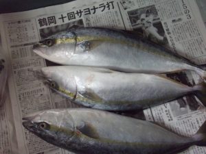 頂き物、垂水の特産品-1