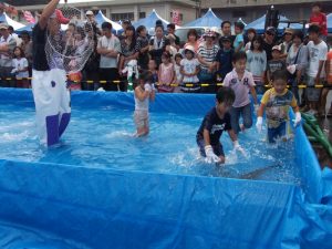 カンパチが元気すぎてなかなかつかまりません