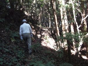 肝付氏ゆかりの耳切り坂（みんけんざか）