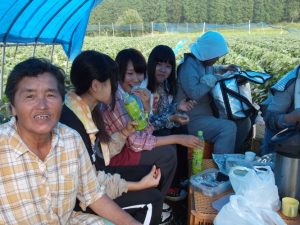 農業体験でおばちゃん達とお茶タイム