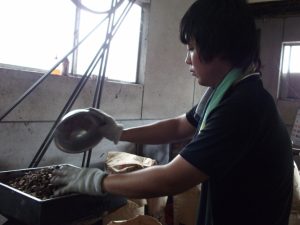 今、椿油がブームなんです。３代目の若者が技術を伝承しています。