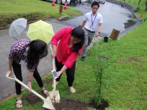 森の駅コテージ入り口に記念植樹