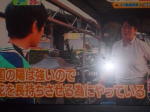 ニッポンの不思議発見の旅、垂水（ＴＢＳ朝チャン）-4