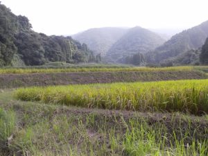 平家落人伝説の里国道２２０号線からわずか１０分