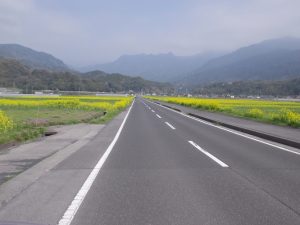 垂水フェリ―から猿ヶ城への田園風景