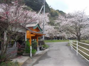立派な墓にも注目