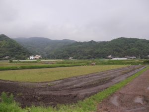 水之上、田植えもうすぐ-1
