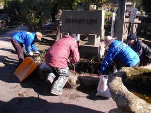 水仙の球根を入り口の花壇に