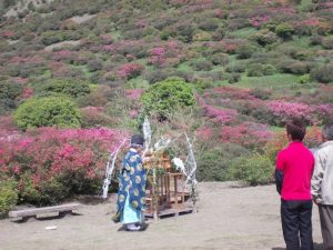 春休み故郷を訪ねて-高峠つつじ祭り