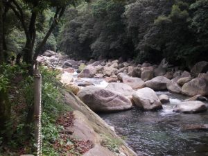 森の駅たるみず猿ヶ城山開き、まさかり海水浴場海開き-6