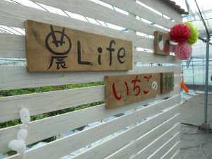 イチゴ狩り