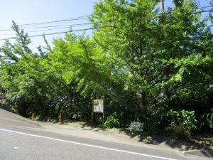 台風（22号）よ来ないで！！-3