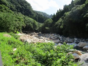 森の駅、まさかり海水浴場神事-1