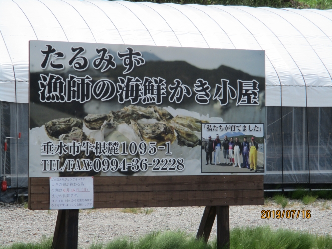 鹿児島十志合同会社-1
