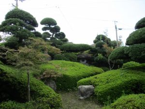 「麓」凛と生きる人々-1