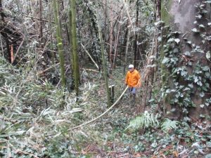 本城城跡川上家老墓地市指定-4